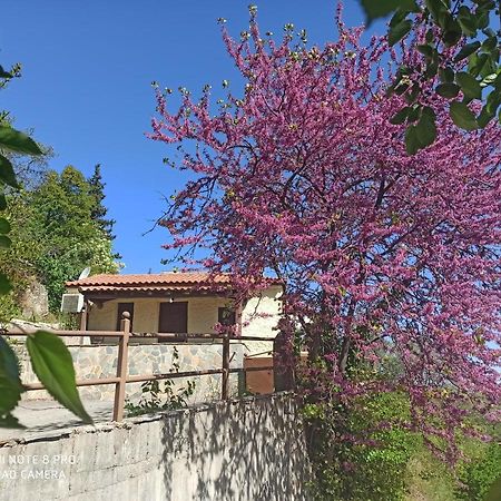 Forestrock Studio For Sale Too Спарти Екстериор снимка