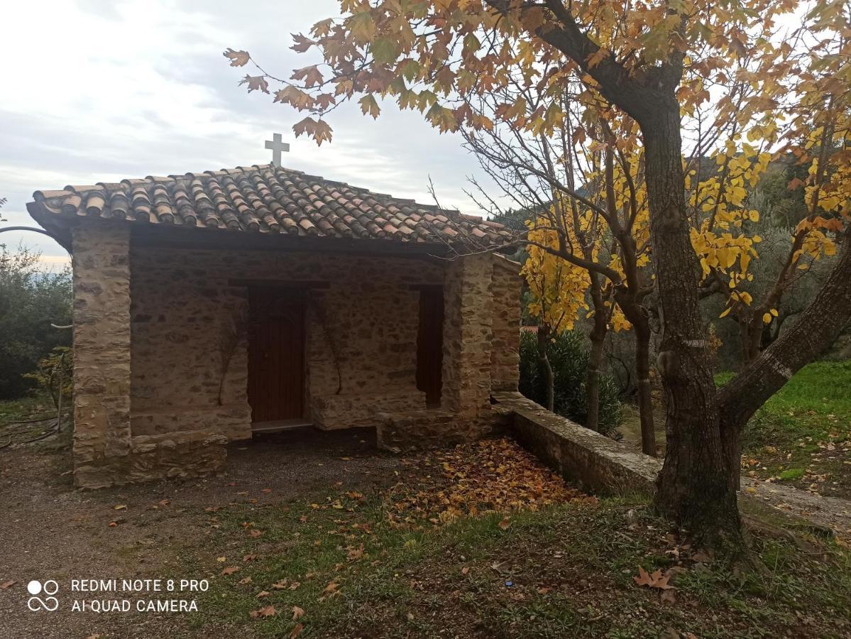 Forestrock Studio For Sale Too Спарти Екстериор снимка